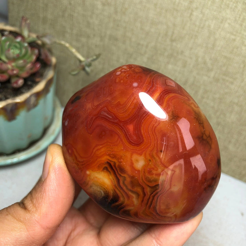 Crazy Lace Agate "The Gotham Joker"