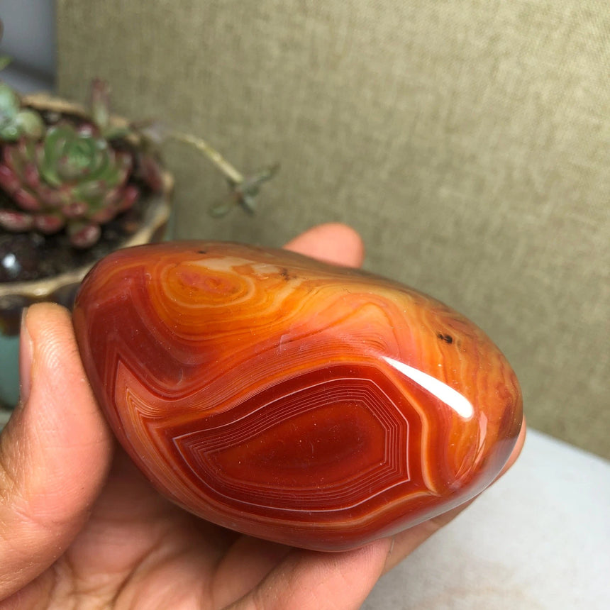 Crazy Lace Agate "The Gotham Joker"