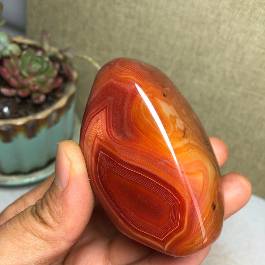 Crazy Lace Agate "The Gotham Joker"