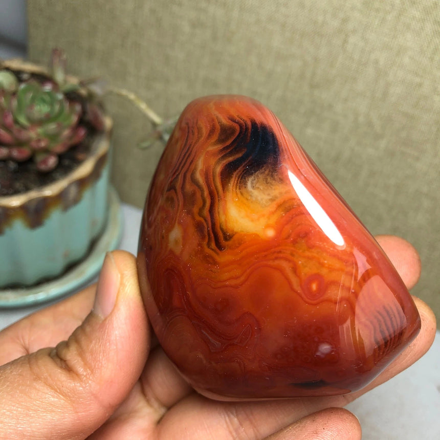 Crazy Lace Agate "The Gotham Joker"