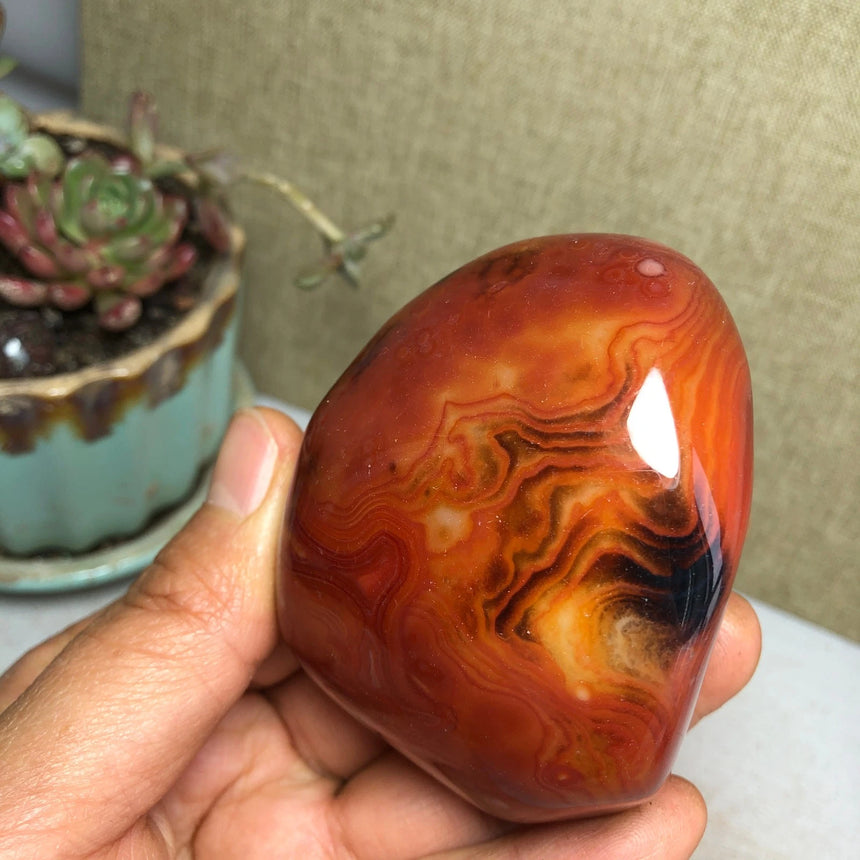 Crazy Lace Agate "The Gotham Joker"